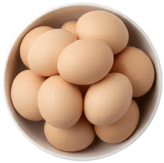 Eier