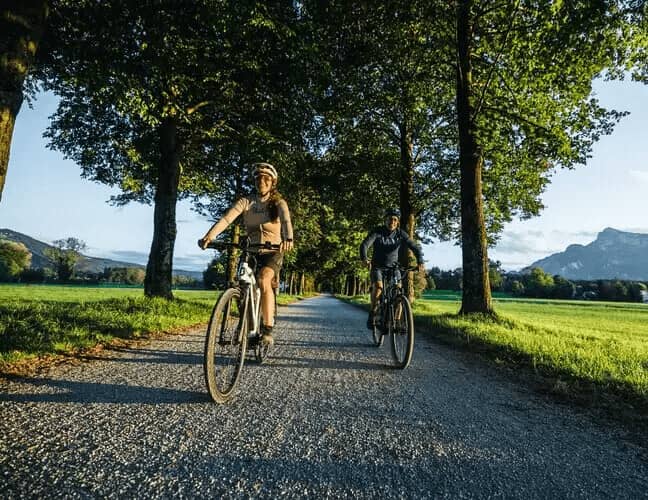 Zwei Radfahrer auf einer Allee