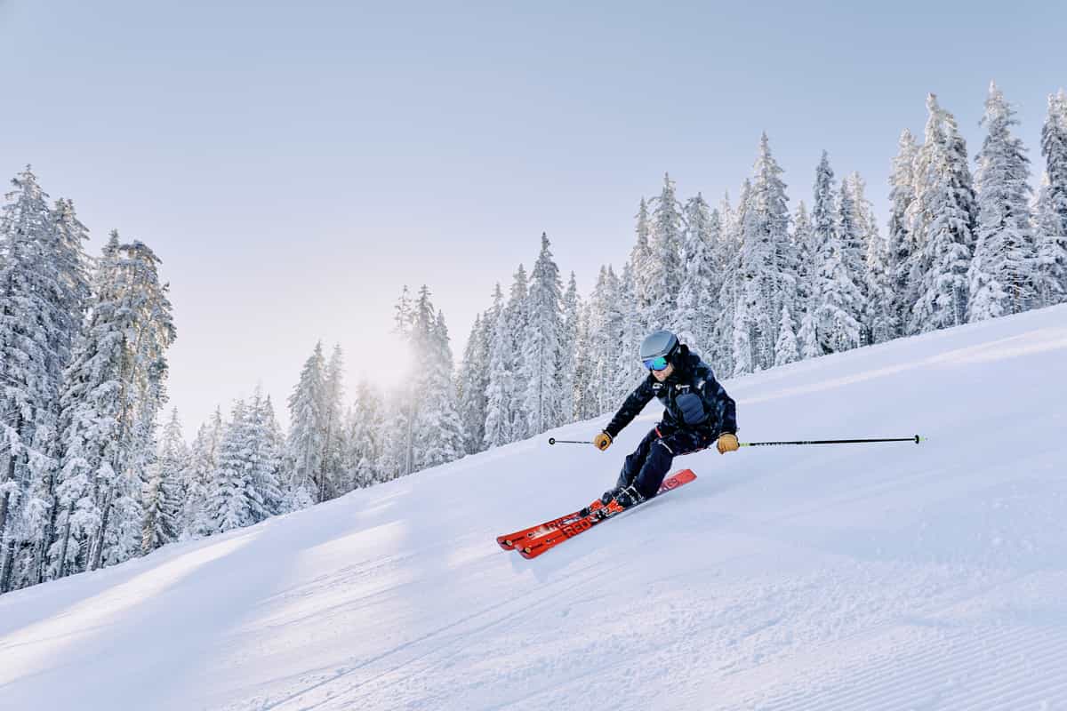 Skifahrerin carvt dynamisch, Gegenlicht durch verschneiten Wald