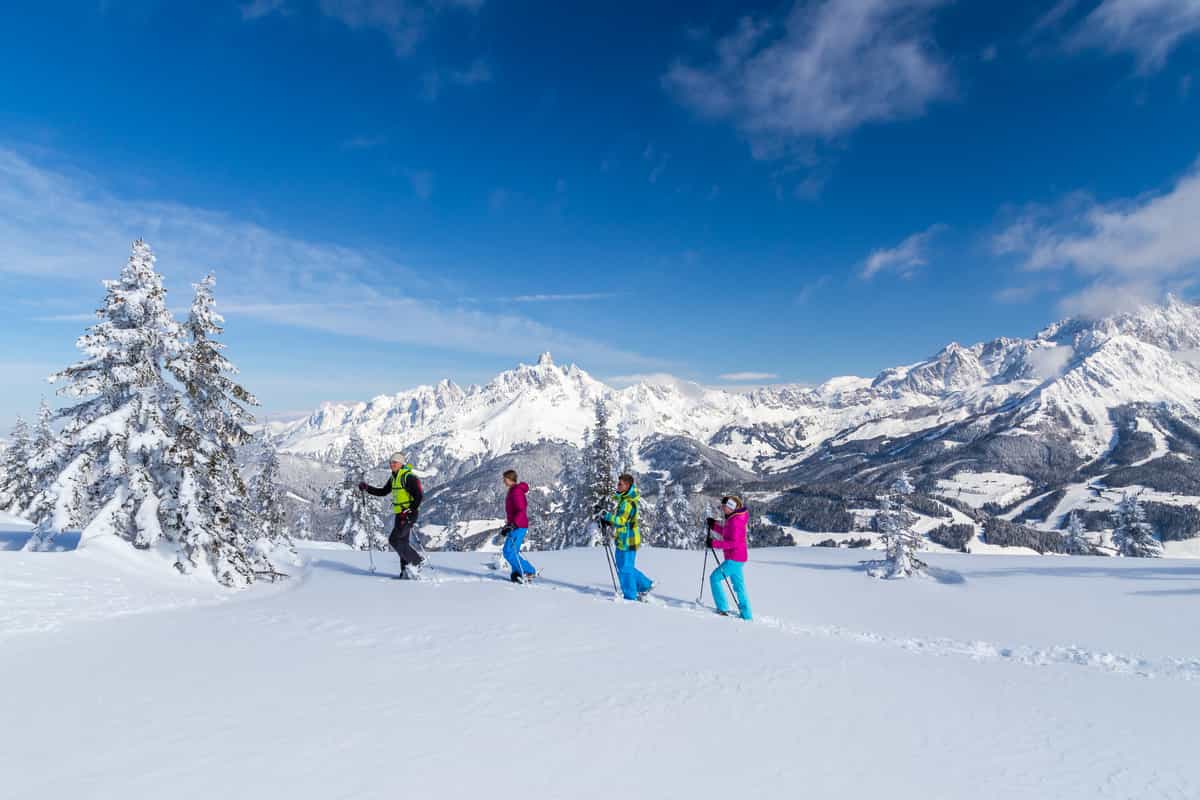 vier Schneeschuhwanderer im Tiefschnee vor Bergpanorama und blauem Himmel