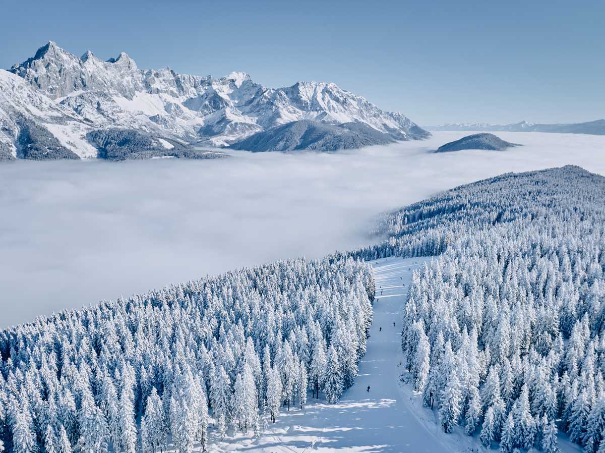 Luftbild: Piste als Schneise durch tief verschneiten Wald, Nebelmeer und Bergmassiv links
