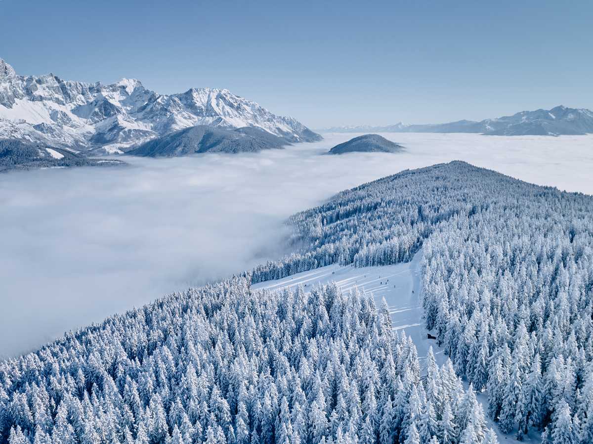 Luftbild: Waldkuppe mit Pistenschneise, Nebelmeer, Bergmassiv links