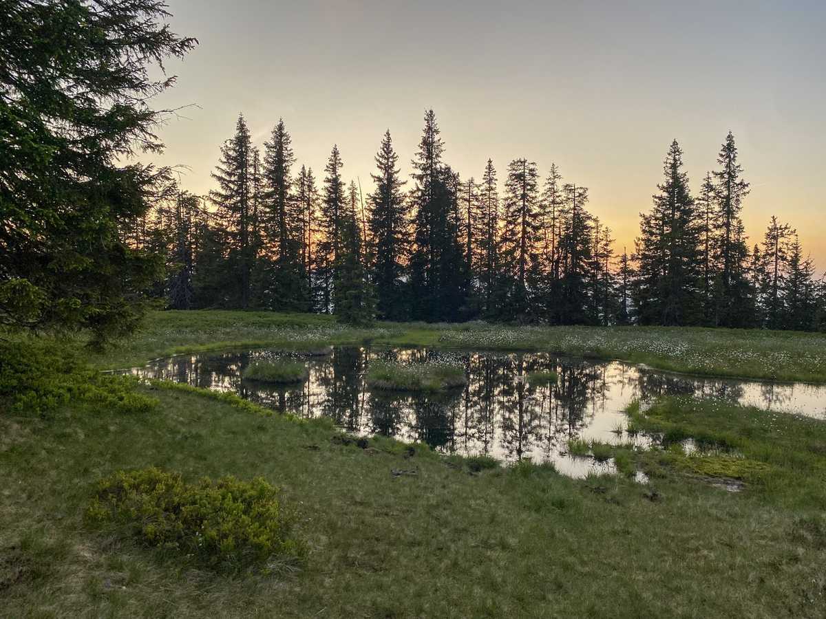 Moor am Rossbrand im Abendrot